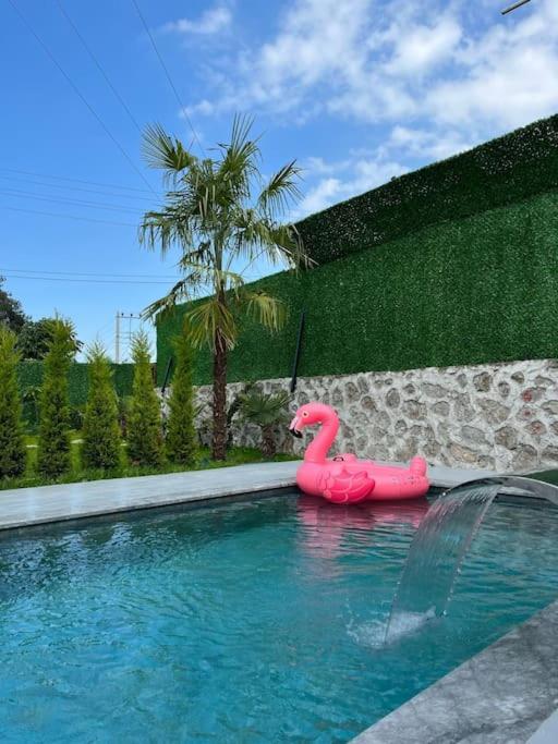 Shino Sapanca'Da Sicak Havuzlu Tatil Keyfi! Villa Bagian luar foto